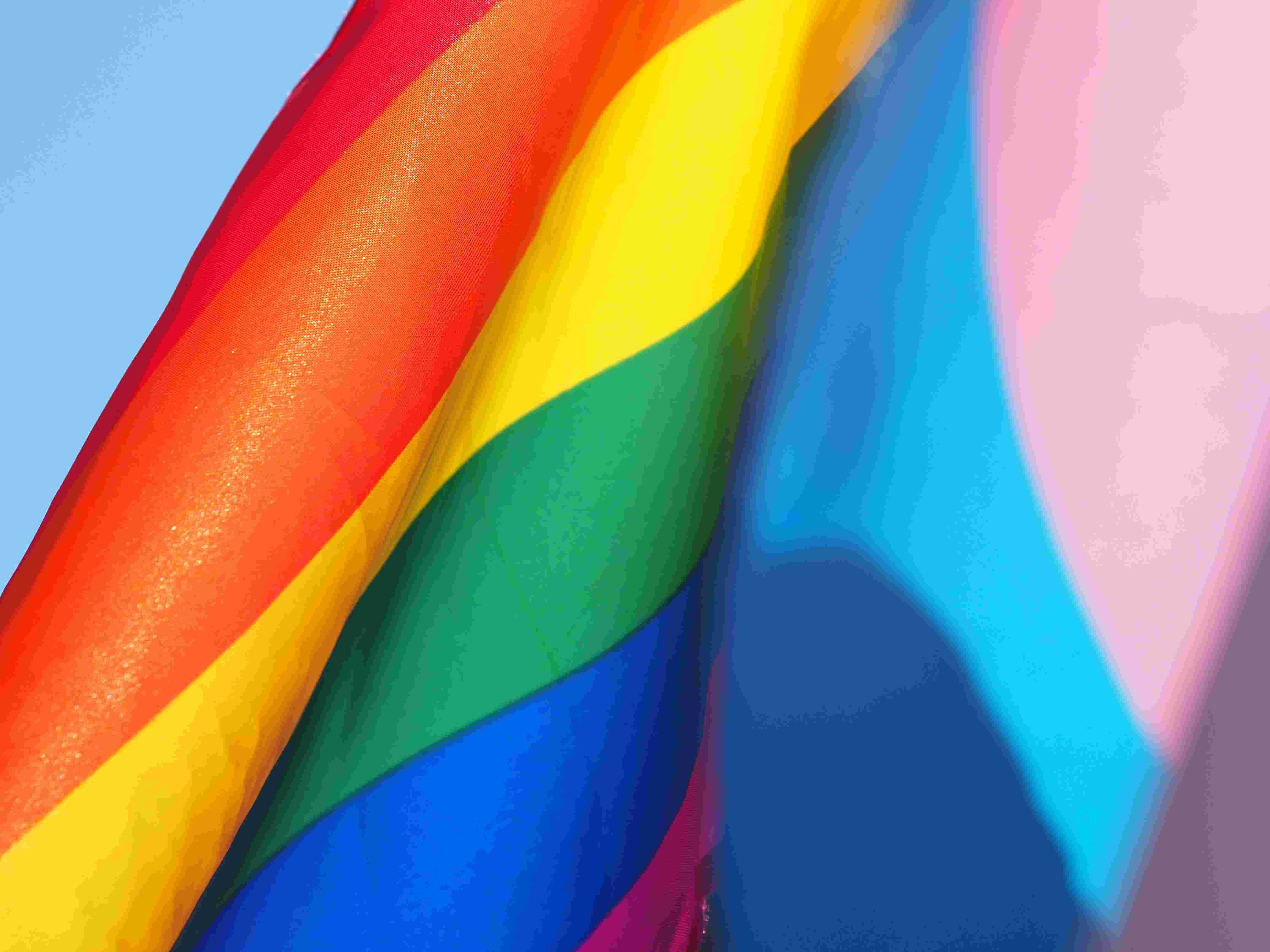 The Learning Council: Pride Flags in Paonia