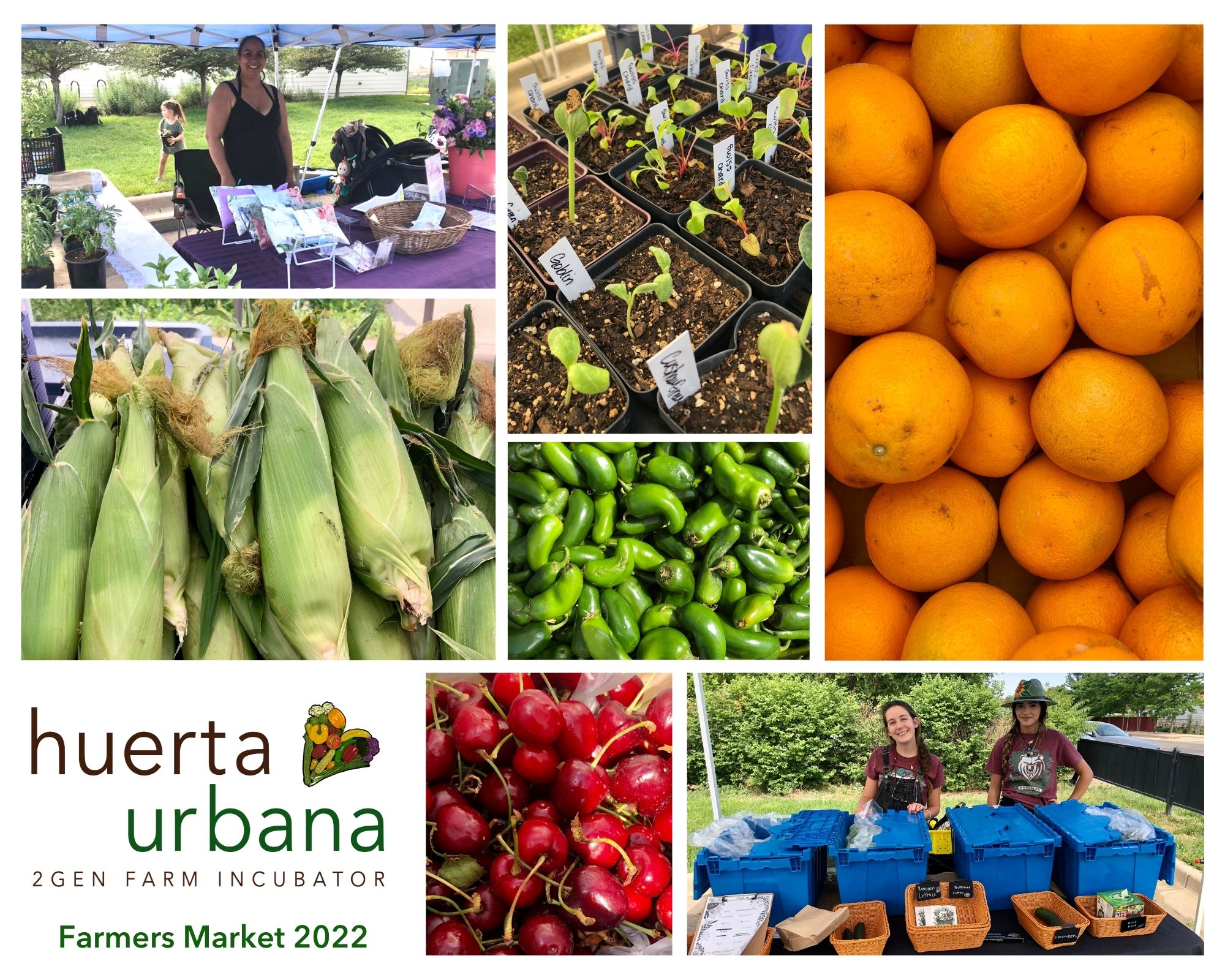 Focus Points Huerta Urbana Farmers Market Offers PayWhatYouCan Options