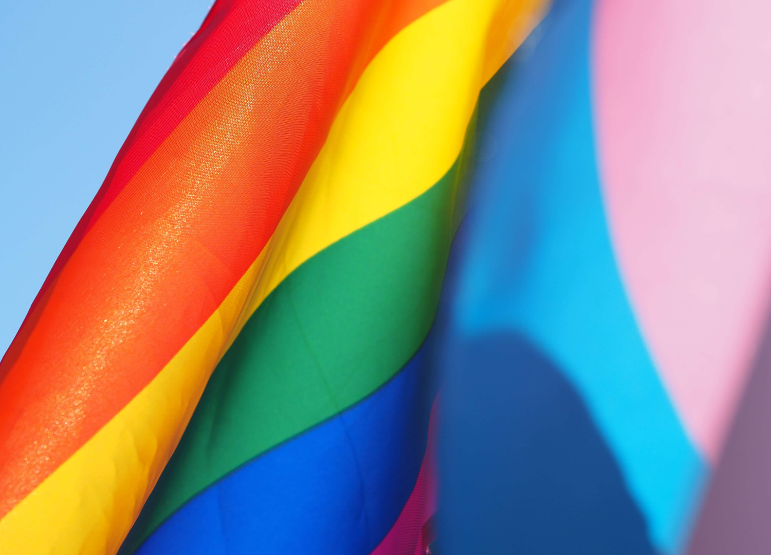 Out Boulder County Awarded $2,000 Award to Create LGBTQ+ Storytelling Website 