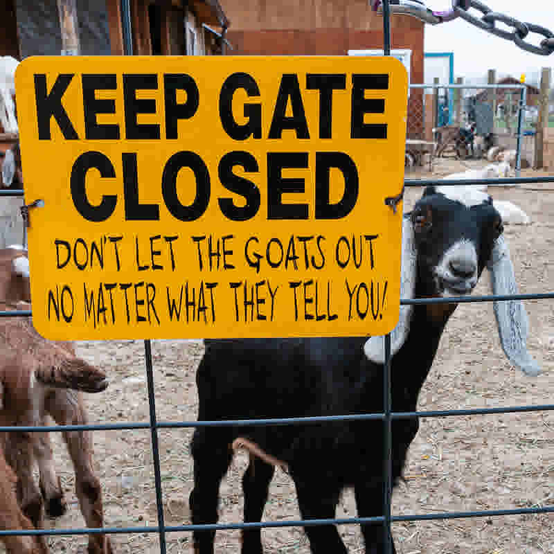 The Learning Council: Animal Husbandry Educational Series