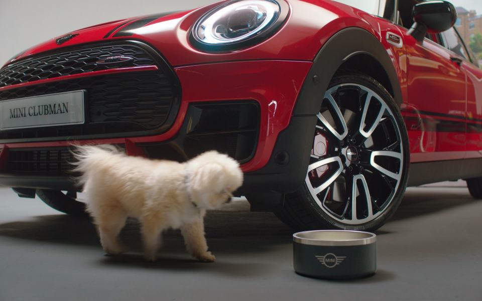 Dog Friendly Car of the Year 2022 MINI Clubman