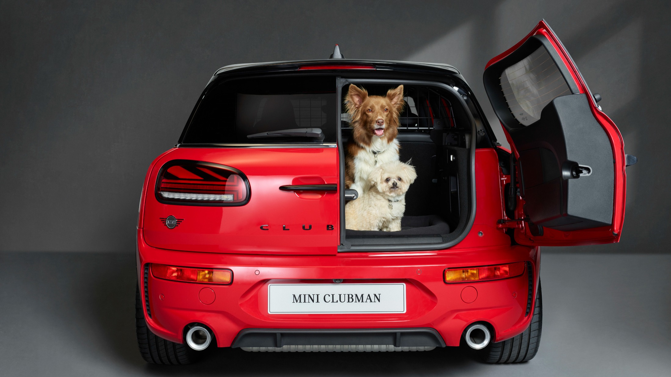 2021 NEWS UK MOTOR AWARD 'DOG FRIENDLY CAR'.
