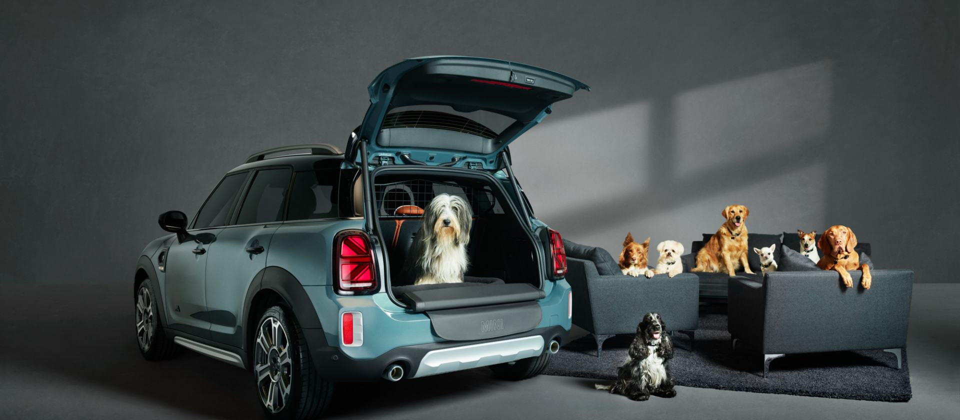 MINI SHOWROOMS. A DOG’S BEST FRIEND.