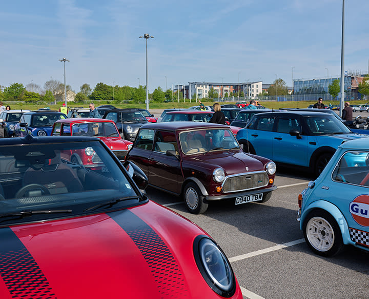Lots of MINIs with different colours and models, parked in a parking lot