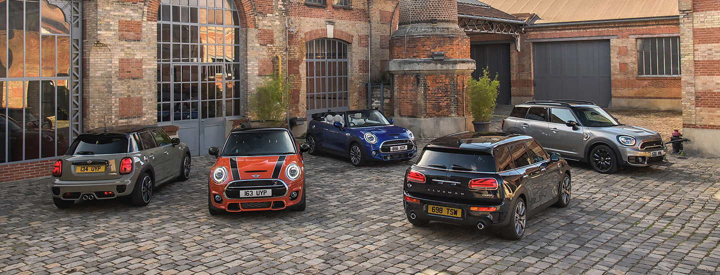 WANTED:  WELL-LOVED MINIS.