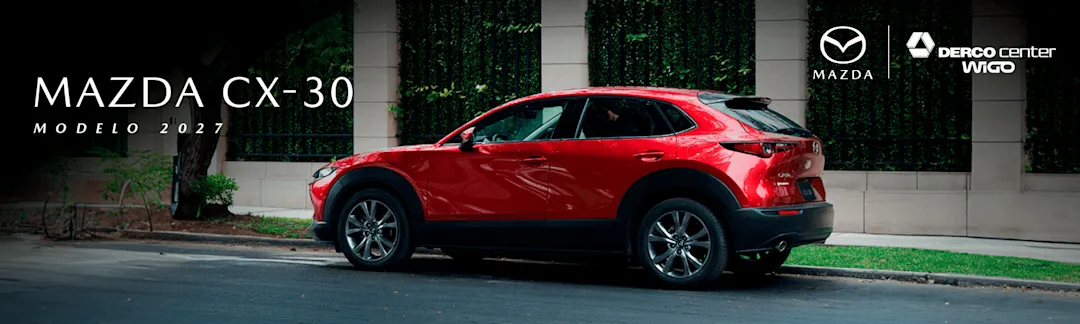 CX30 (1).png