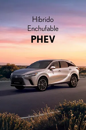 PO | Lexus LBX Hybrid