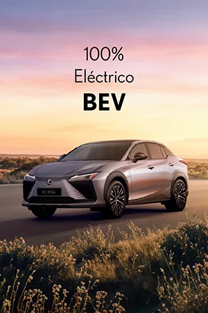 PO | Lexus NEW RX