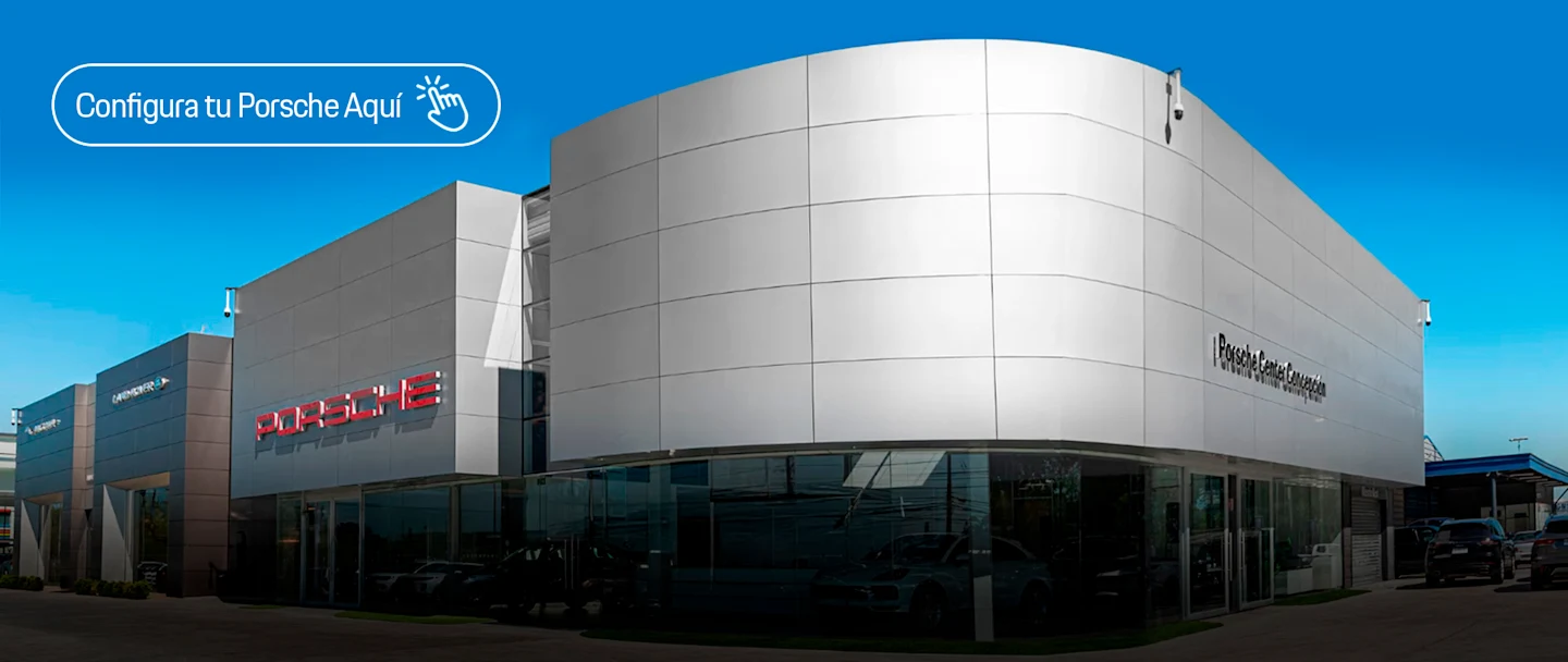 FONDO-BANNER-PORSCHE.jpg