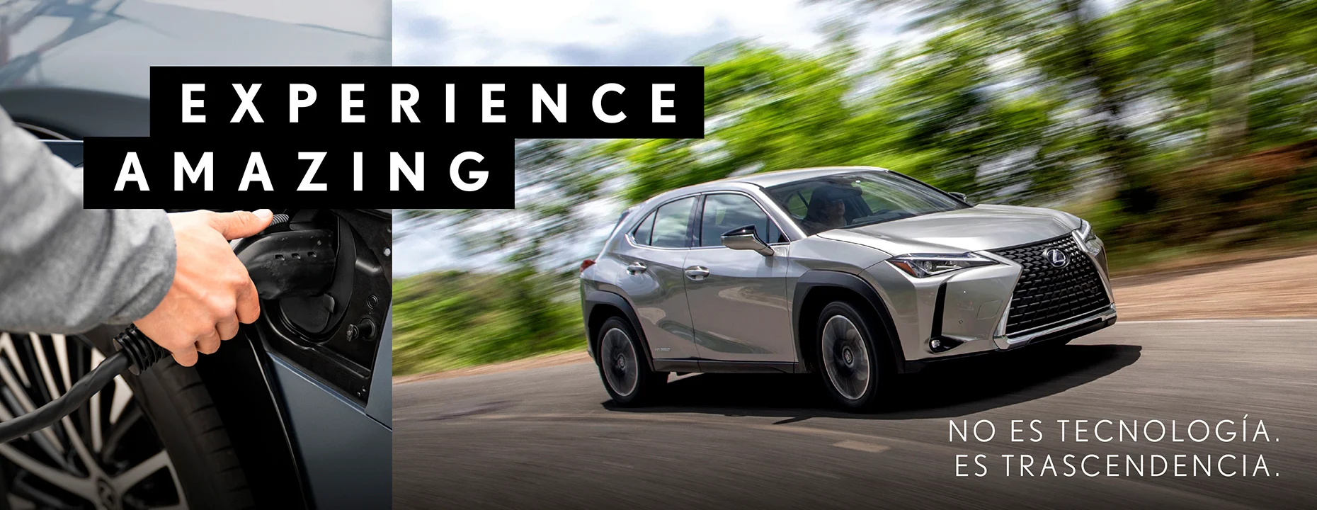 KVS MARCA LEXUS 2-04.jpg