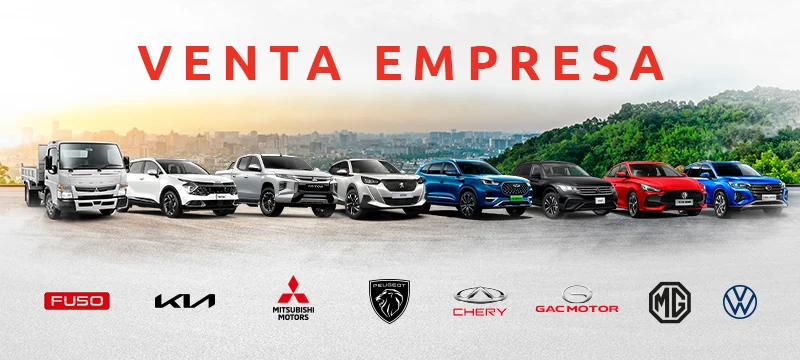 WI | Flotas wigo asesor MG