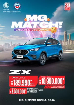 PO | Card MG ZX