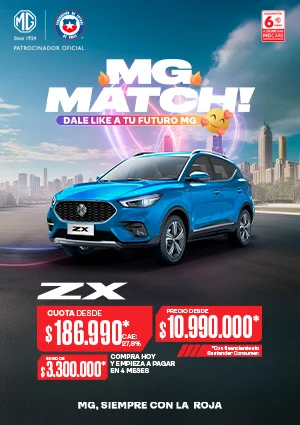 PO | Card MG ZX