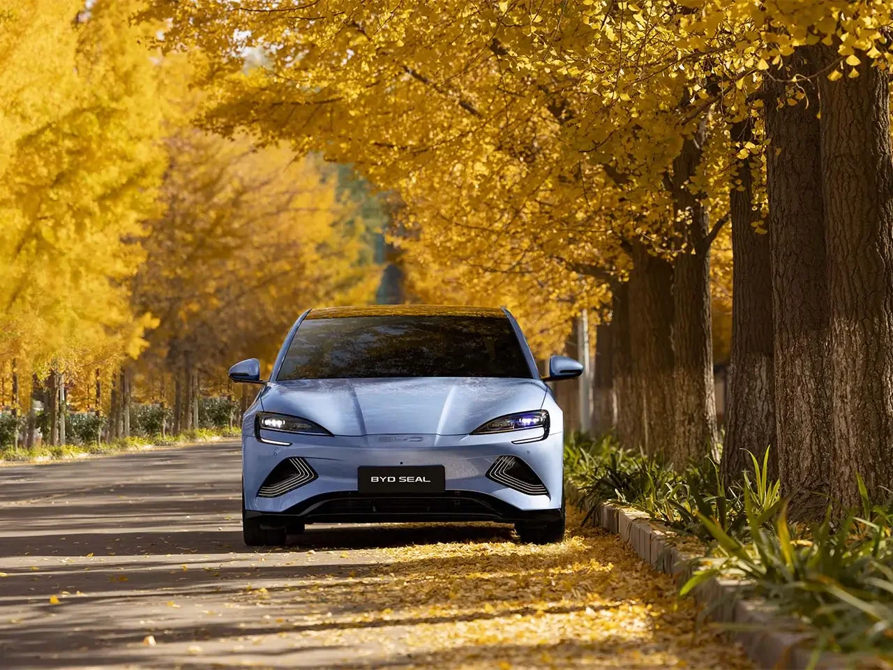 SI | BYD Chile, conoce los mejores modelos disponibles