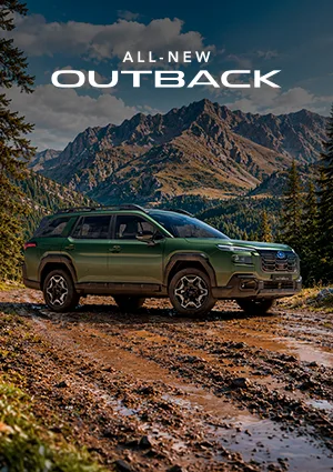 Banner All New Outback