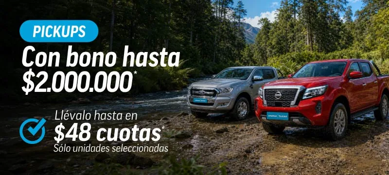 PORTILLO VENTA PICKUP JUL2026 CALUGA