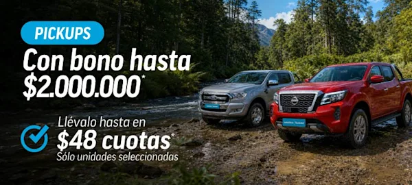 PORTILLO VENTA PICKUP JUL2026 CALUGA