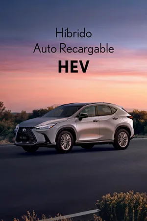 PO | Lexus hev