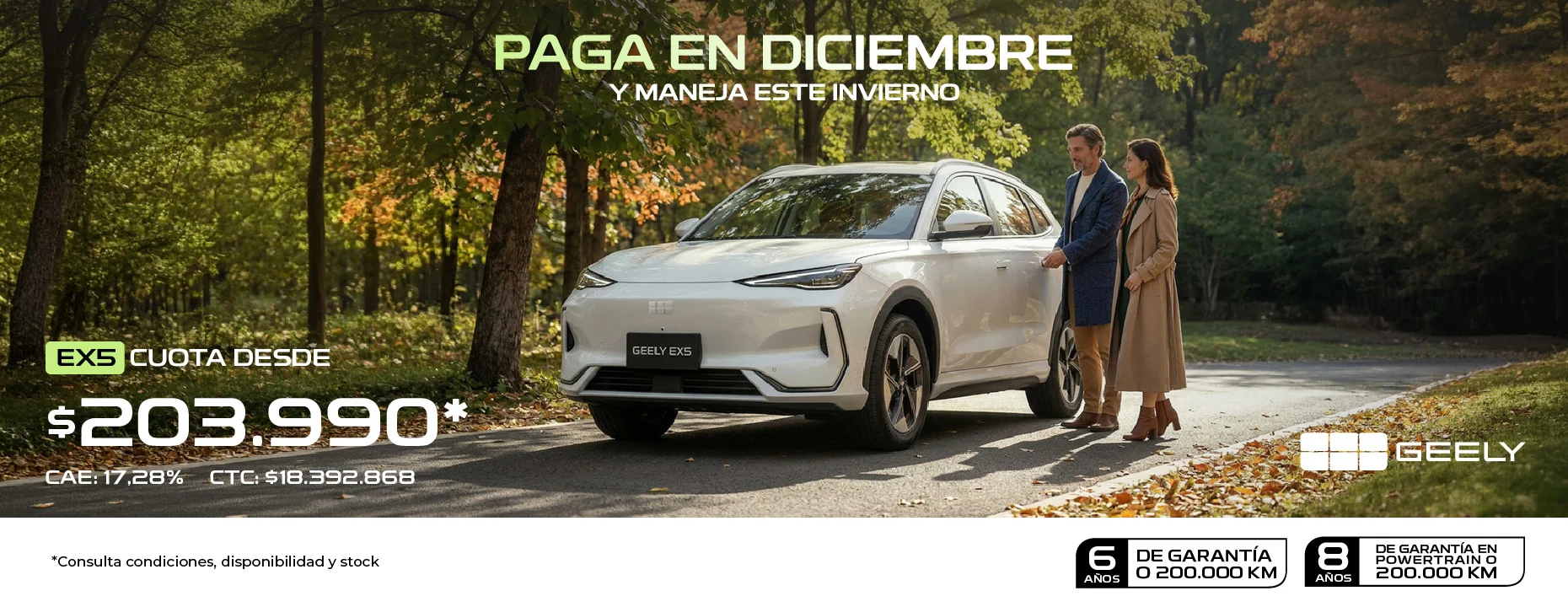 Banners Junio Geely_bb ex5.jpg