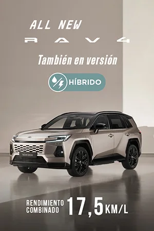 Banner Rav4 gasolina 
