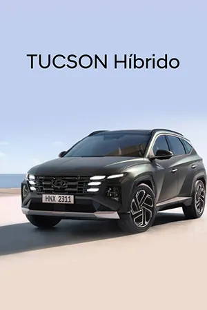 PO | Hyundai Tucson