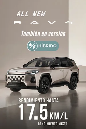 Banner Rav4 gasolina 