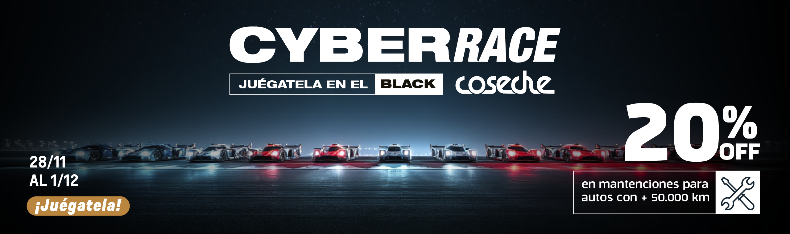 BANNER HOME COSECHE.png