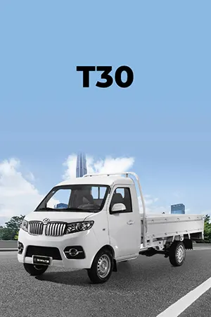 PO | SHINERAY T30 