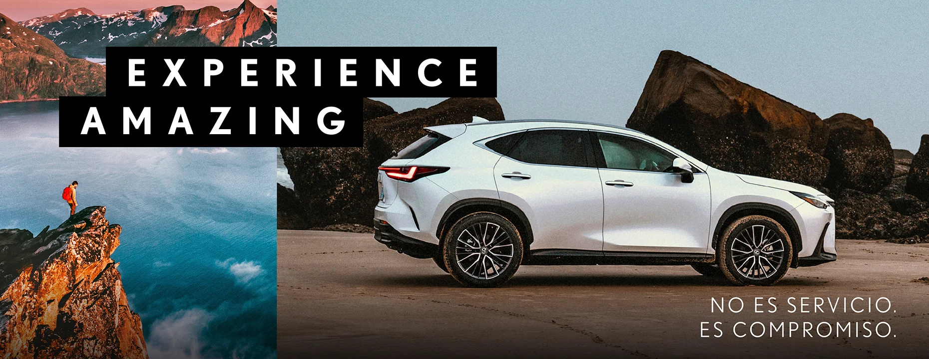 KVS MARCA LEXUS 2-01.jpg