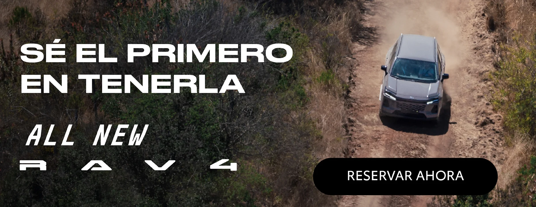 all new rav4_banner grande.jpg