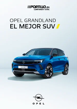 PO | Opel Grandland