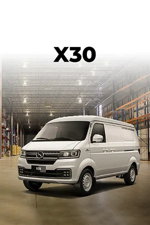 PO | SHINERAY X30 