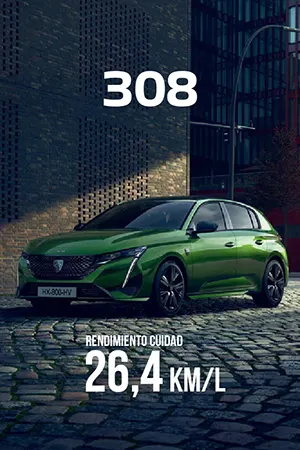 PO | Peugeot 308