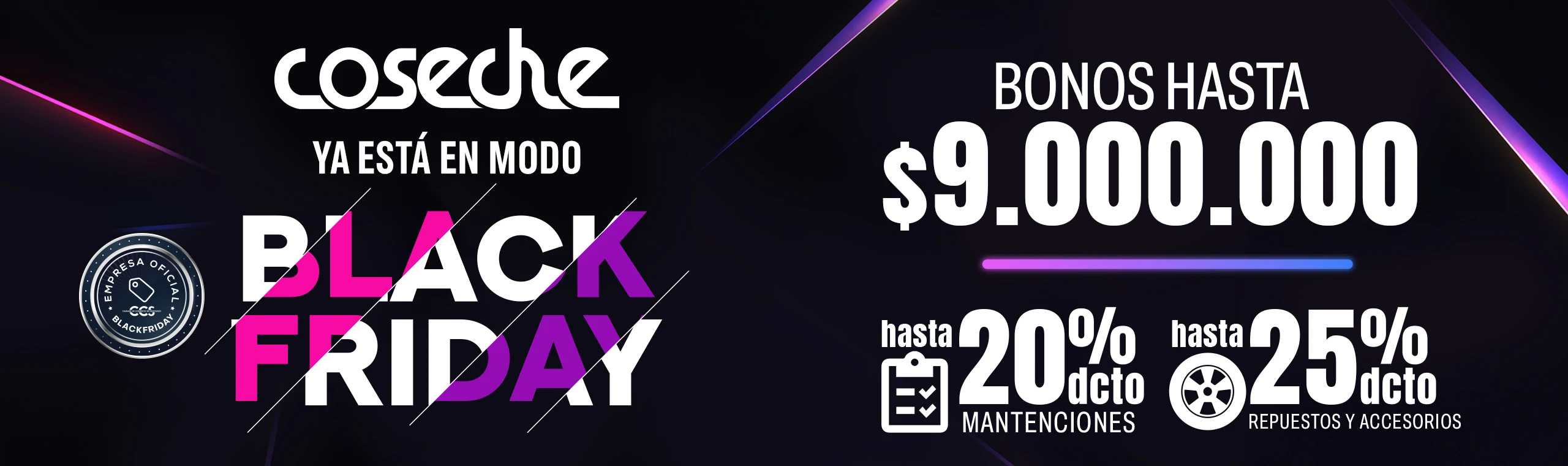 banner web coseche copia.jpg