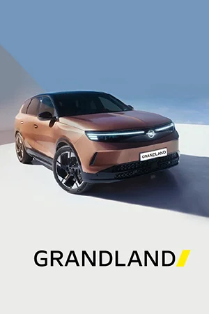 PO | Opel Grandland