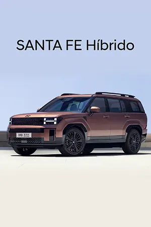 PO | Hyundai Santa Fe