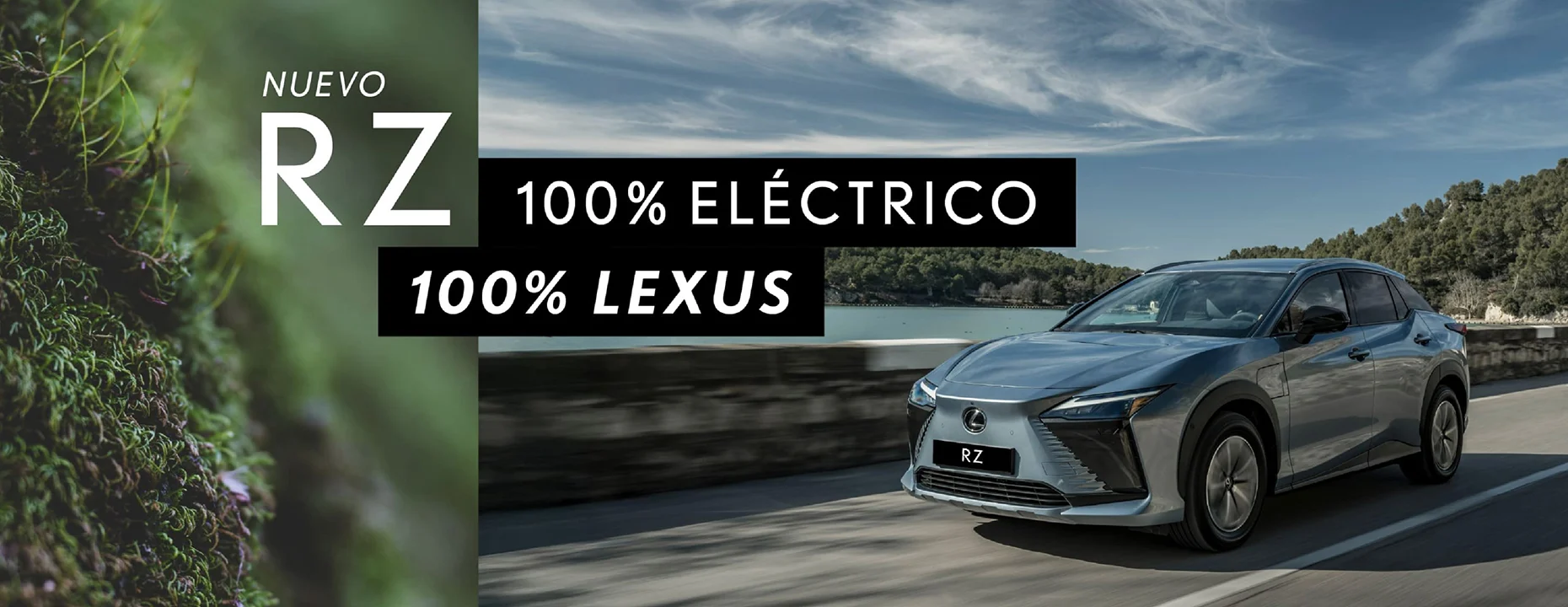 banner lexus_Mesa de trabajo 1 copia 2.jpg