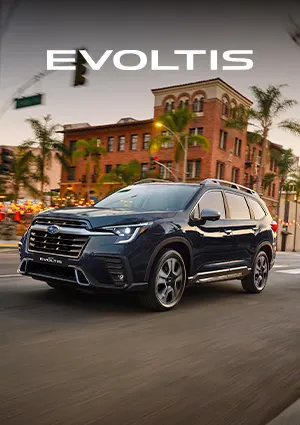 Banner Evoltis Subaru
