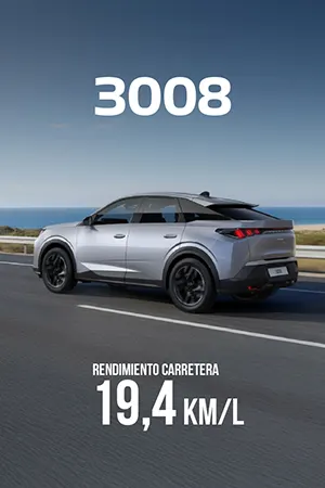 PO | Peugeot 3008