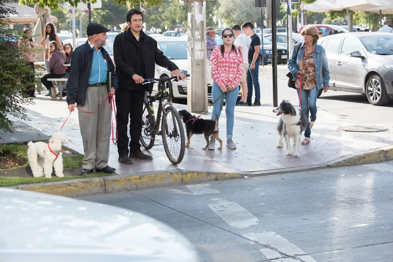 SI | Personas esperando para cruzar