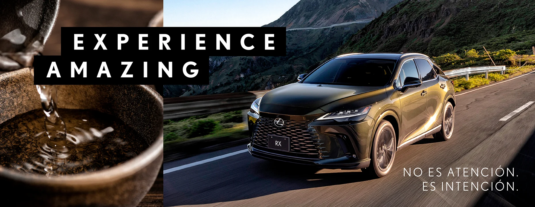 KVS MARCA LEXUS 2-03.jpg