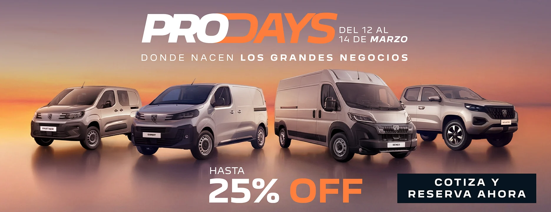 BANNERS_PEUGEOT (1).jpg