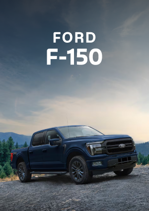 SI | Banner Card Ford F150