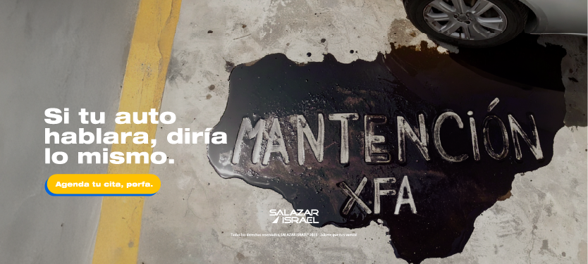 Mantencion xfa