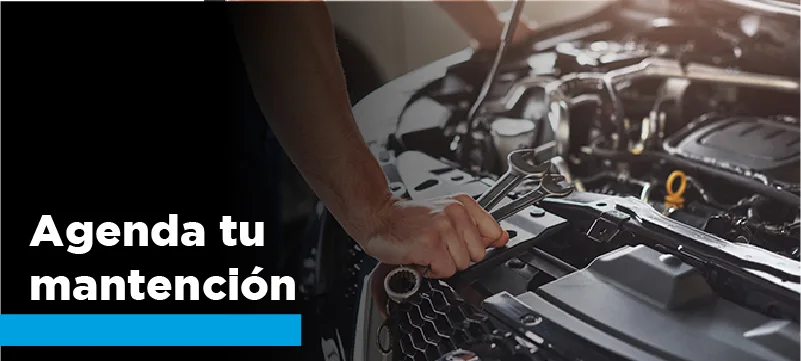 PO | Agenda tu Mantención PV