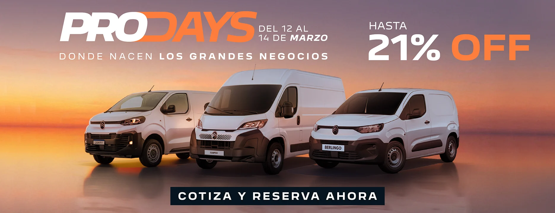 BANNERS_citroen (1).jpg