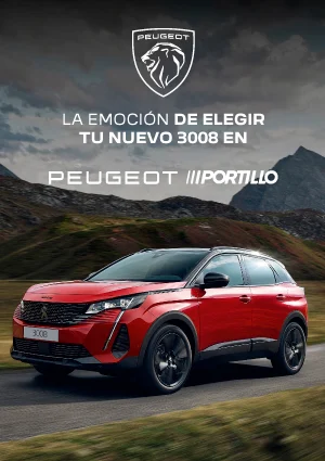 PO | Peugeot 3008