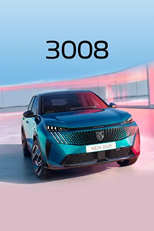 PO | Peugeot 3008