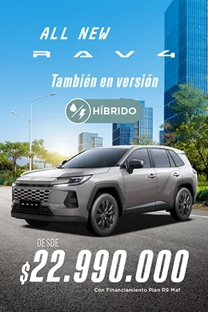 PO | RAV4 GASOLINA CALUGA 
