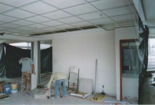 Imagen del portafolio de EcoTraze